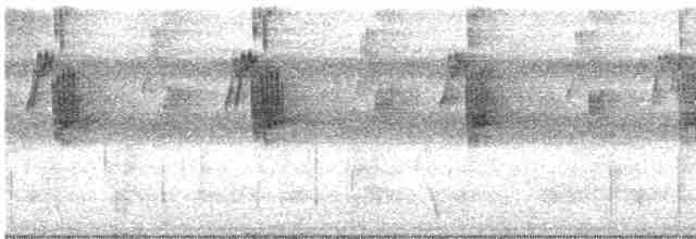 Большеклювый колибри-отшельник - ML613859215