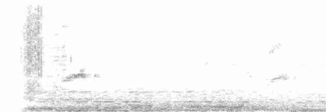 キバラシラギクタイランチョウ - ML613859242