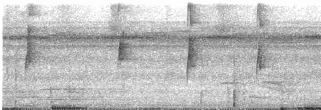 Прямоклювый колибри-отшельник - ML613860146