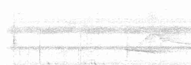 Лінивка-смугохвіст західна - ML613861009