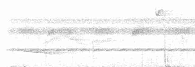 Серошапочный сорокопутовый виреон - ML613861029