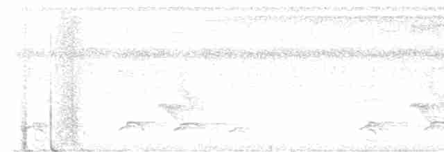 Орел-чубань рудошиїй - ML613861136