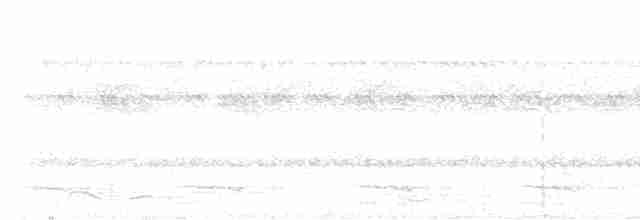 White-shouldered Antshrike - ML613861480