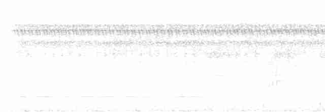 Тиранчик-мухолюб вохристий - ML613861568