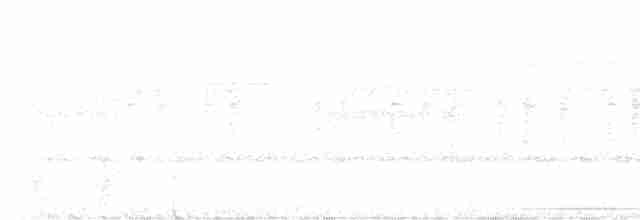 Rotschwanz-Ameisenvogel - ML613861575