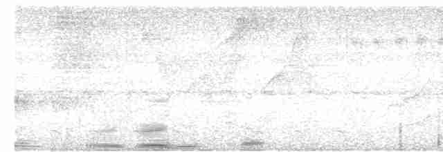 Серый тиранн-плакса - ML613861682