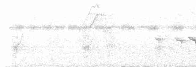 Braunscheitel-Ameisenvogel - ML613861730