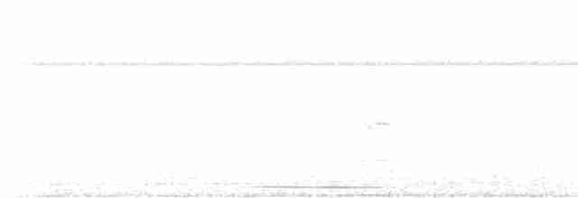 holub šedočelý - ML613861737