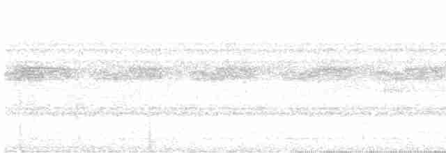 Amazon Oropendulası - ML613861940