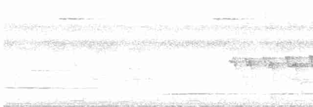 Braunscheitel-Ameisenvogel - ML613862014