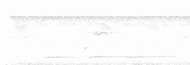 arassari hnědouchý - ML613862201