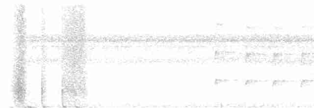 Длиннохохлая чубатка - ML613862618
