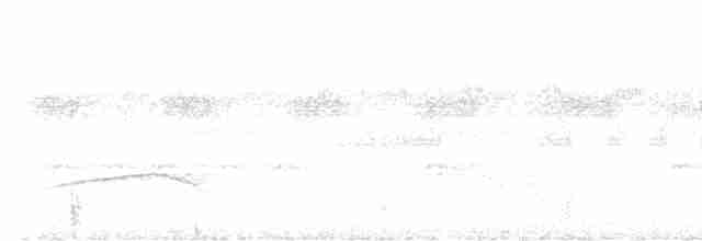 Kahverengi Tepeli Pufkuşu - ML613862851