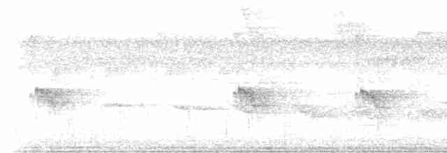 Braunscheitel-Ameisenvogel - ML613862910