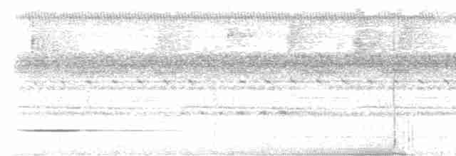 Tinamou de Bartlett - ML613863325