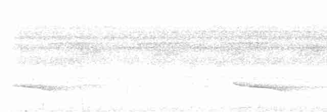Серошапочный сорокопутовый виреон - ML613864579