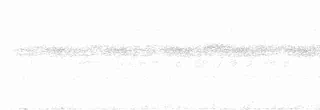 Tinamou à gorge blanche - ML613864833