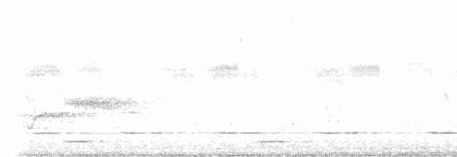 Spot-flanked Barbet - ML613865108