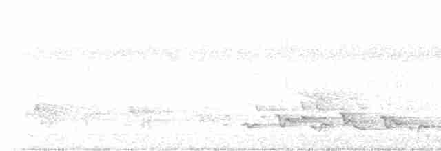 Kakameg à poitrine grise - ML613865356