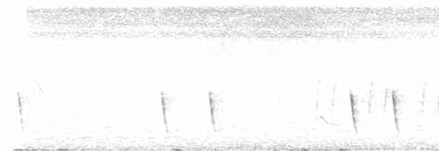 Gray Wren-Warbler - ML613865369