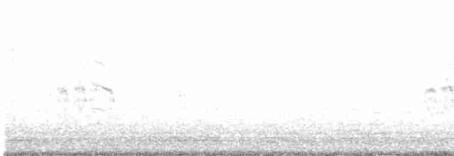 Antillenseeschwalbe - ML613866616