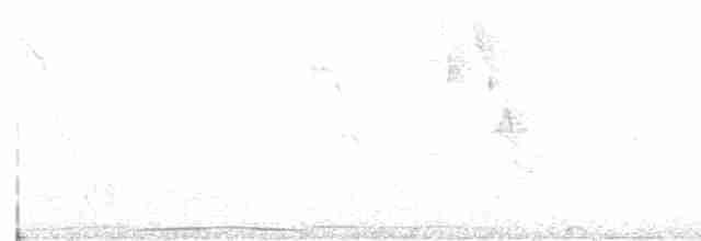 Tinamou à petit bec - ML613866953