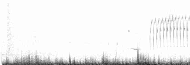 Grass Wren (Paramo) - ML613868097