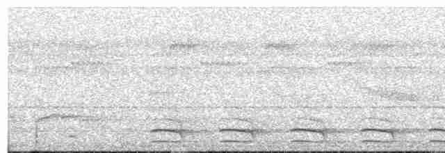 White-shouldered Antshrike - ML613868296