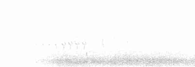 Common Yellowthroat - ML61387001