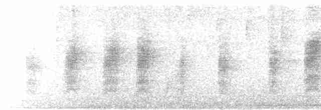 Тиранчик-мухолюб сіроголовий - ML613870163