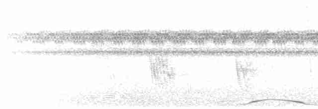 holub neotropický - ML613870962