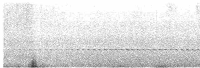 Benekli Notura Tinamusu - ML613871300