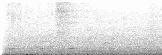 Пенелопа чубата - ML613874464