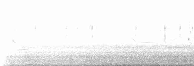Yellow-rumped Warbler (Myrtle) - ML613874580