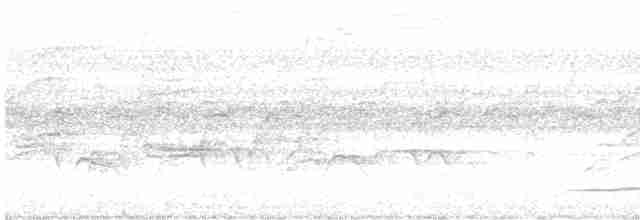 Thicket Tinamou - ML613874604