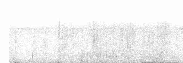 Weißband-Ameisenvogel - ML613877735