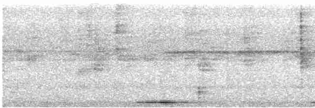 holoubek šedomodrý - ML613878939