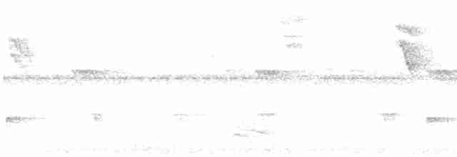 Тихоголос жовтодзьобий (підвид polionotus) - ML613878953