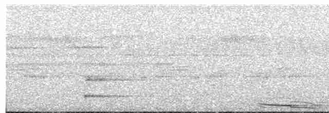 Zigzag Heron - ML613880357