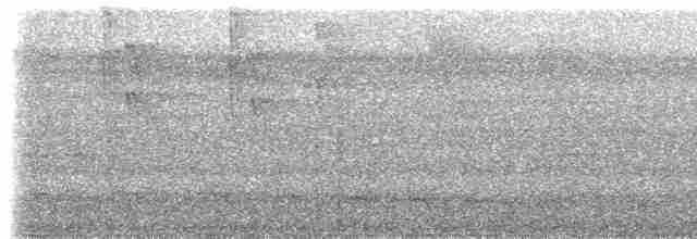 Gray-tailed Piha - ML613880929