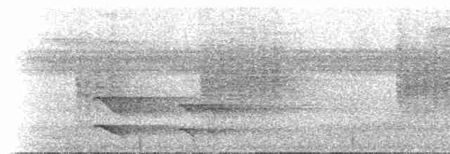 Toucan tocard (ambiguus/abbreviatus) - ML613881374