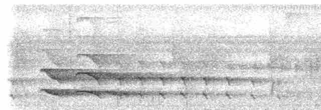 tukan žlutohrdlý (ssp. ambiguus/abbreviatus) - ML613881376