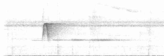 キゴシタイランチョウ（phoenicurus／aureiventris） - ML613881458