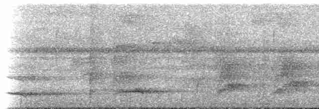 White-necked Thrush (Gray-flanked) - ML613881639