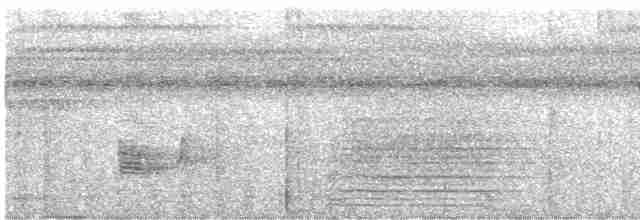 Манакін-стрибун карликовий - ML613882055