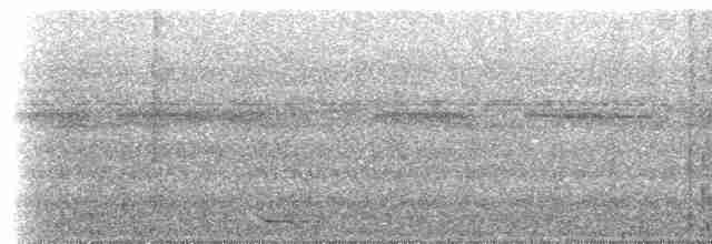 Gray-tailed Piha - ML613883272