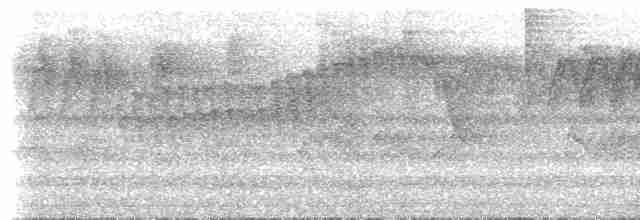 Troglodyte de Branicki - ML613885592