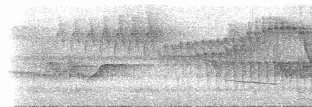 Slaty-capped Shrike-Vireo (Slaty-capped) - ML613885613