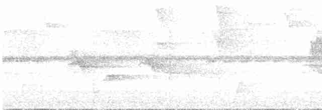 White-breasted Wood-Wren (Black-capped) - ML613885770