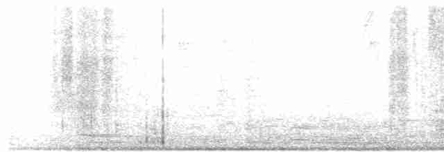 Troglodyte montagnard - ML613885925